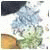 Lorencomep
