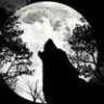 shadowfire