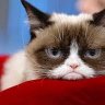 Grumps